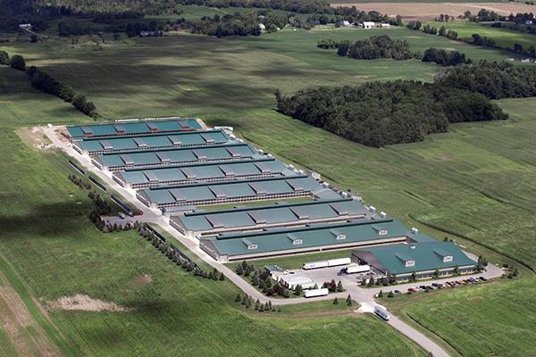 Qinghai Uomini Calzini Co.,Ltd